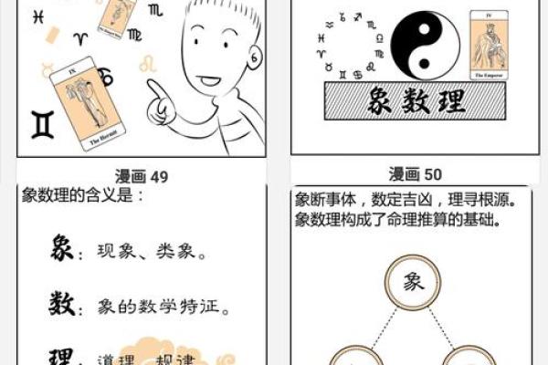 零基础学习快速算命