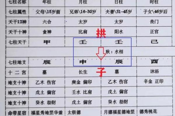子午卯酉八字