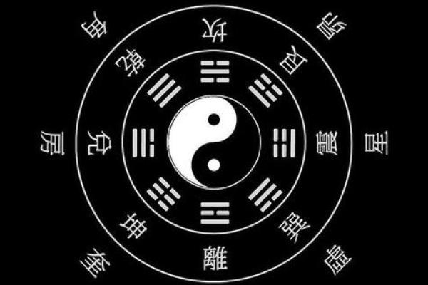 子午卯酉八字