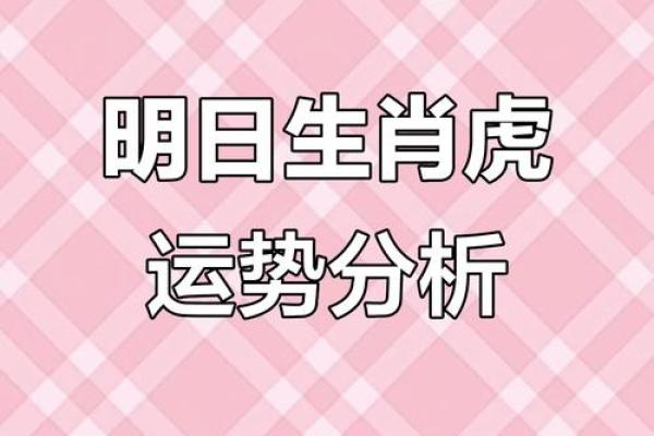 属虎方位吉凶图表详解大全