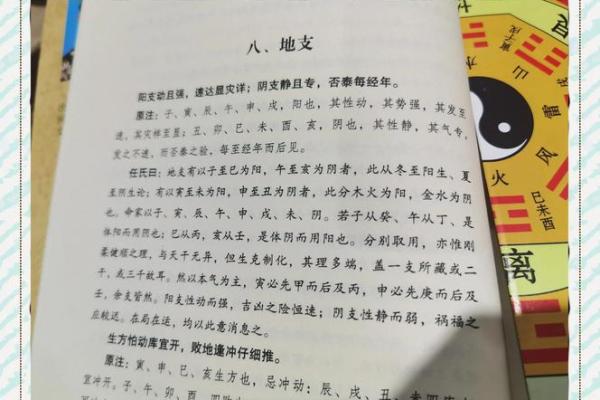 未成年学算命有什么危害