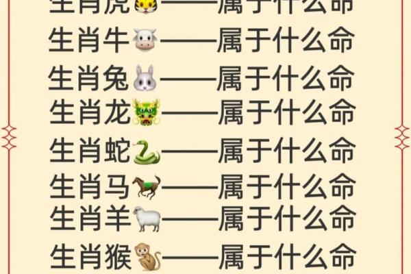 1981年属什么生肖配对