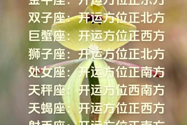 各个星座每天运势表