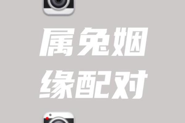 兔鼠生肖配对姻缘 兔与鼠的婚姻相配吗