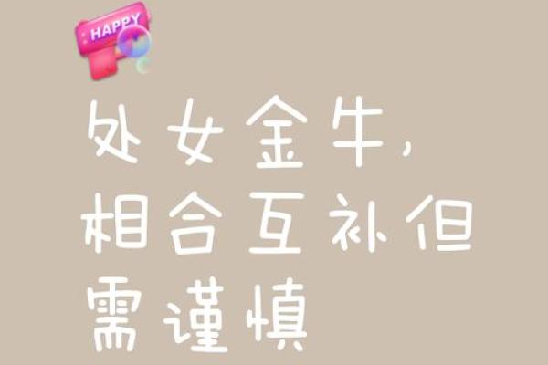 金牛座一区与处女座一区的星座配对
