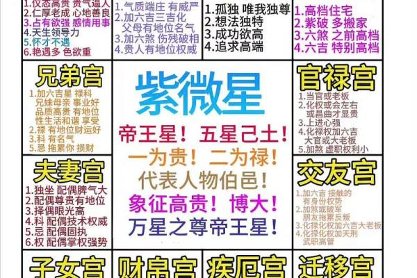 看紫薇斗数的人