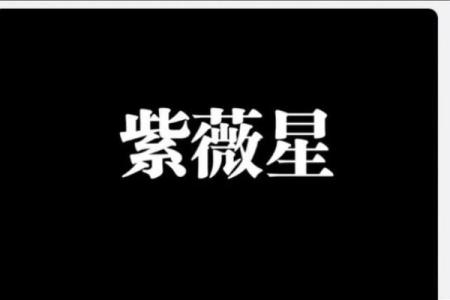 娱乐圈紫薇星