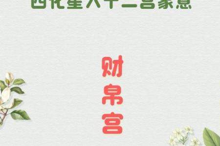 紫薇斗数ai