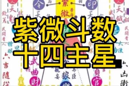 紫微斗数十四主星： 天梁星概论