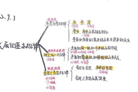 【哲学百科】全面解析哲学思想与名词解释，深度学习哲学思辨方法