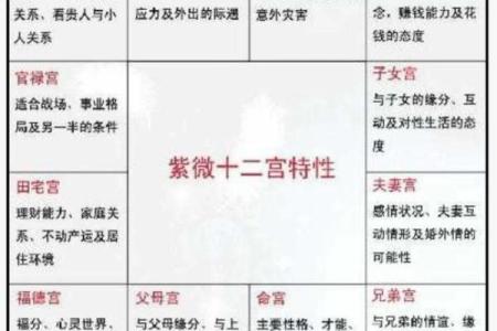 紫微斗数诸星落诸宫之：破军星夫妻宫详解