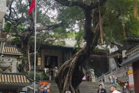 属马和属蛇的人相配吗 属马和属蛇你们配对关系如何