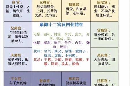 紫微斗数142 紫微斗数14主星顺序？