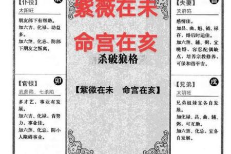 紫薇斗数怎么数岁数