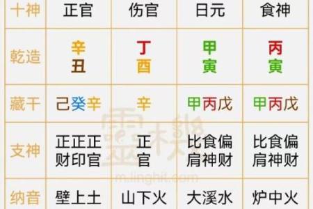 丁未日柱出生男女八字命运分析 丁未日柱如何看