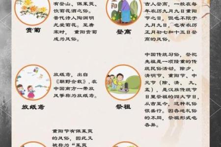 节日与命理 重阳节出生的人好吗