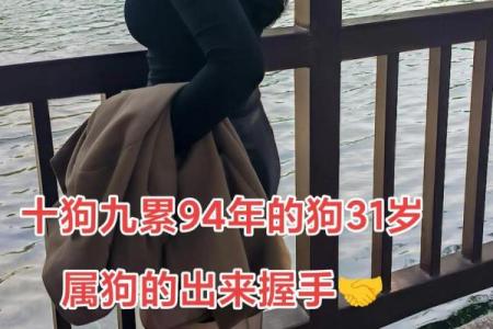 94年狗和94年狗是上等婚吗 两只94年生的狗配对算是高配婚姻吗