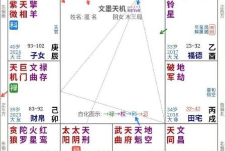 紫薇斗数的紫薇是啥意思