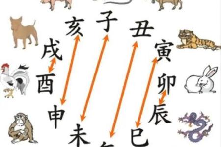 属相配对父子相冲