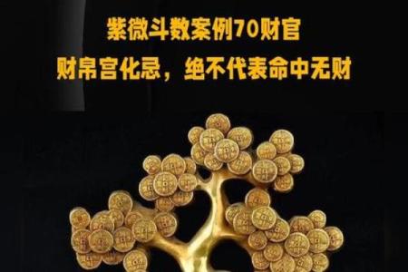 紫薇斗数横财大限