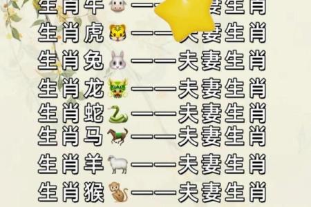 生肖配对属牛属兔的婚姻怎么样
