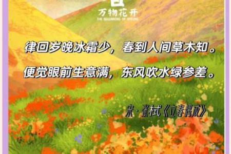 什么是立春的风水
