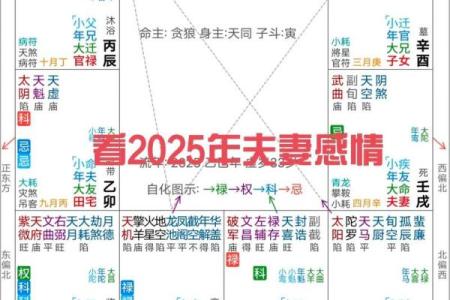 紫微斗数冷战 紫微斗数另一半怎么相遇的？