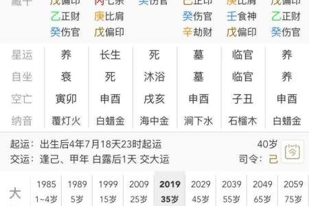 张的八字