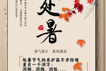 虎年2024年8月23日处暑出生孩子是什么星座？