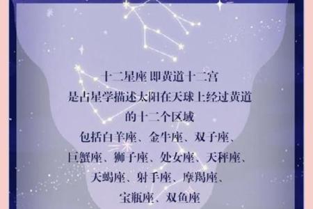12星座哪个更聪明哪个更笨重