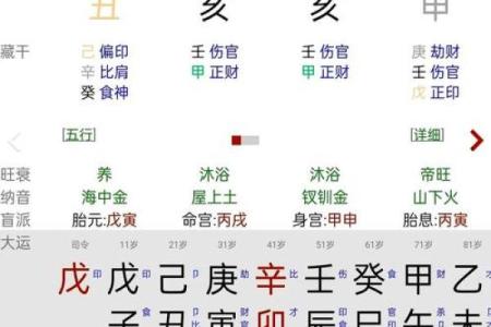 零基础学习快速算命