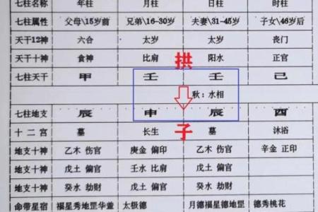 子午卯酉八字