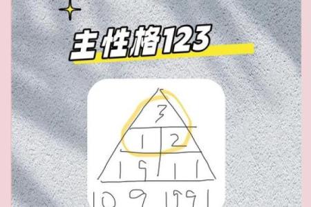 生命灵数5和几配对