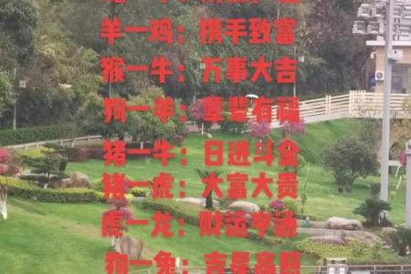 1981年属什么生肖配对