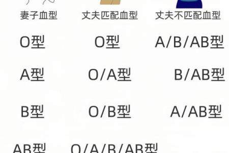 网上如何查自己的血型