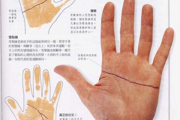 《手相学习百科》：手的轮廓特征