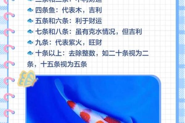 养鱼的数量风水