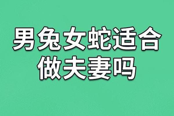 生肖兔的最佳婚配 谁跟属兔人更配对