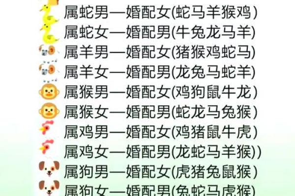 生肖兔的最佳婚配 谁跟属兔人更配对