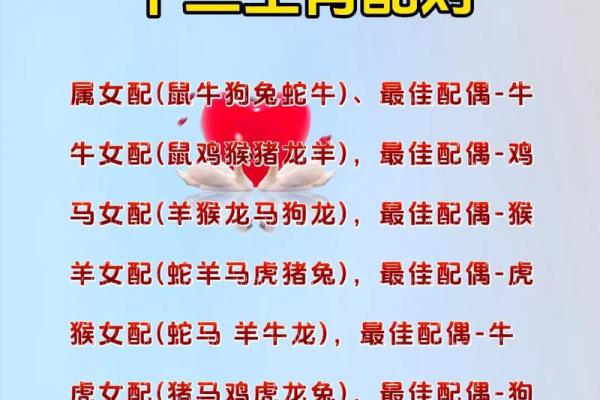 生肖配对查询表