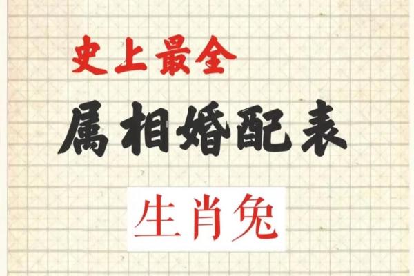 生肖属兔合婚须知，属兔配对需要注意的问题！