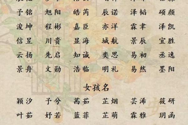 孩子名八字