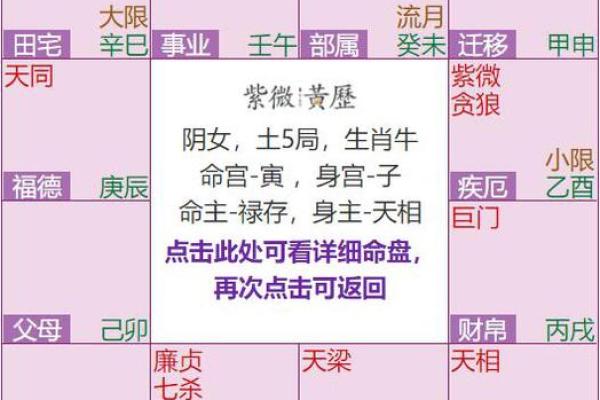 紫薇斗数代表小人