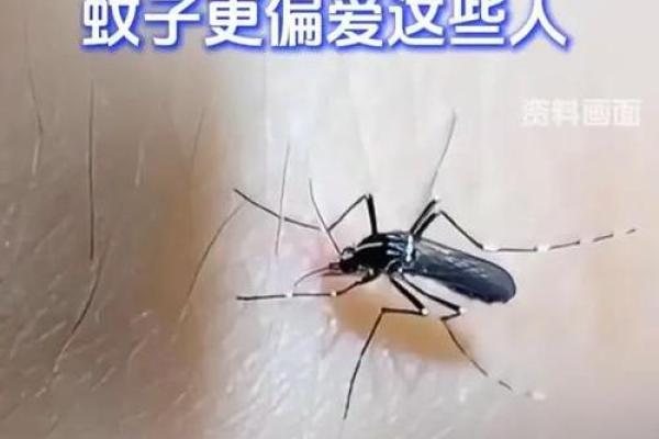蚊子不喜欢什么血型 蚊子厌恶哪种血型