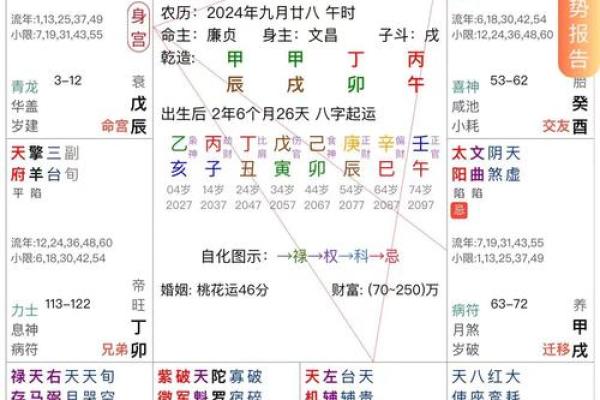 abc科技紫薇斗数