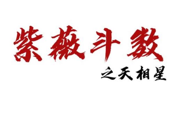 abc科技紫薇斗数
