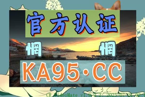 姓名最佳配对 姓名最佳配对查询？
