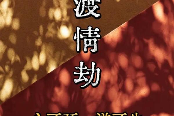 哪个星座渡情劫最难忘