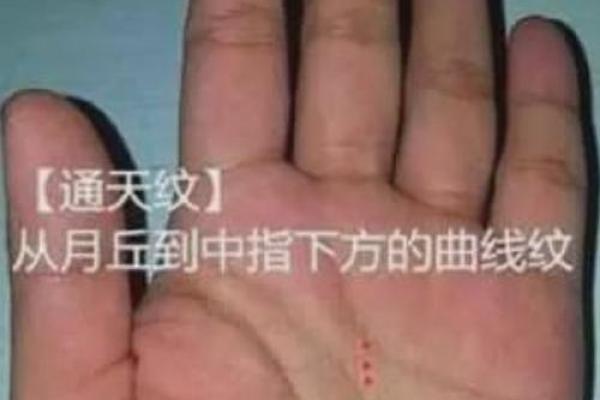 详细分析：手掌中的指纹预测算命，快来算算你的运势如何！
