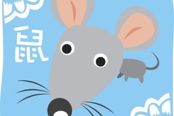 属鼠O血型的人性格与事业姻缘